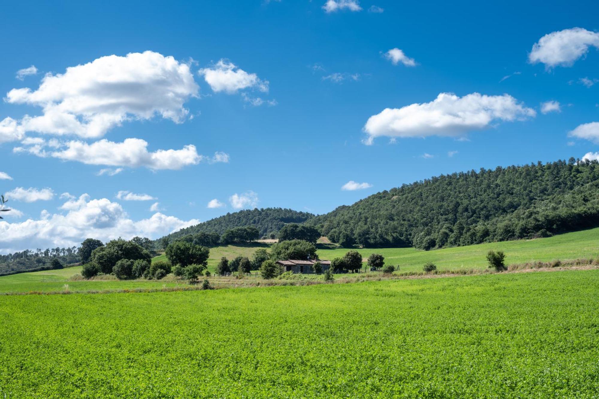 Agri Relais Il Poderaccio Di Болсена Екстериор снимка